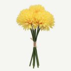 Dahlia Blommor Gula