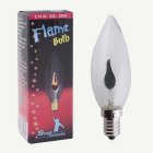 Flamma Glödlampa