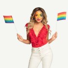 Pride Flagga På Pinne Regnbåge