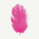 Strutsfjädrar Rosa 30-35 cm