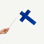 Finland Flagga På Pinne