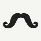 Stor Mustasch Svart