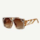 Strass Glamour Glasögon
