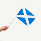 Skottland Flagga På Pinne