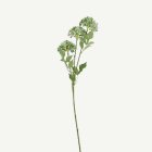 Konstgjord Fläderblomsgren Vit