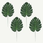 Monstera Palmblad
