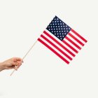 USA Flagga På Pinne