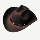 James Cowboyhatt Brun
