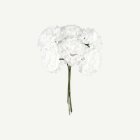 Konstgjorda Mini Hortensia Blommor Vit