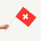 Schweiz Flagga På Pinne