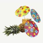 Hawaiiblommor Cocktailparaplyer