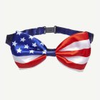 Amerikansk Fluga
