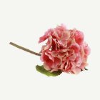 Konstgjord Hortensiakvist Ljusrosa/Rosa
