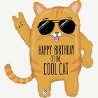 Cool Cat Happy Birthday Folieballong