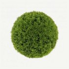 Konstgjord Cypress Dekorationsboll Grön