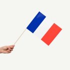Frankrike Flagga På Pinne