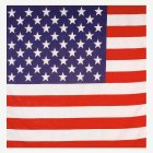 USA Bandana