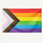 Progress Pride Flagga