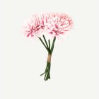 Konstgjord Dahlia Bukett Ljusrosa