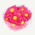 Margetitblommor Rosa
