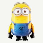Minions® Dave Folieballong