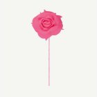 Rosor På Stjälk Fuchsia