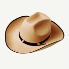 James Cowboyhatt Beige