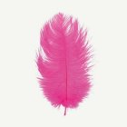 Strutsfjäder Rosa 55-60 cm