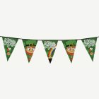 Saint Patrick’s Vimpelgirlang