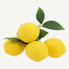 Konstgjorda Citroner med Blad