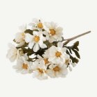 Tandört Blomma Vit