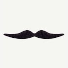 Mexikansk Mustasch