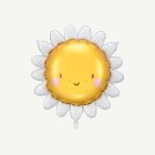 Sol Folieballong