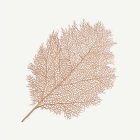 Blad Bordstablett Guld