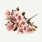 Tandört Blomma Rosa
