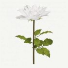 Konstgjord Dahlia På Stjälk