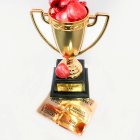 Guldpokal Personlig Text