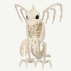 Gargoyle Skelett