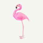 Stående Flamingo Ljusrosa