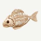 Fiskskelett