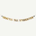 Grattis Till Studenten Girlang