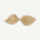 Blond Schnauzer Mustasch