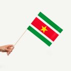Surinam Flagga På Pinne