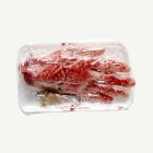 Blodig Avskuren Hand