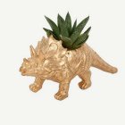 Triceratops Dinosaurie Blomvas