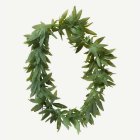 Marijuana Halsband