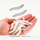 Elastiska Vita Maskar