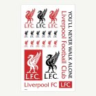 Liverpool FC® Falska Tatueringar