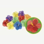 Hawaiiblommor