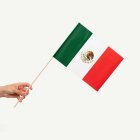 Mexiko Flagga På Pinne